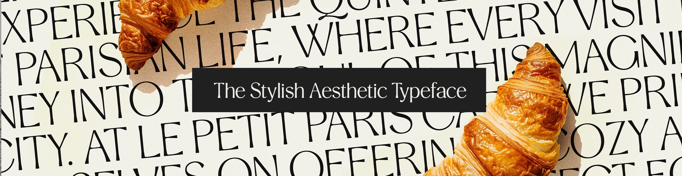 Stylish Aesthetic Typeface
