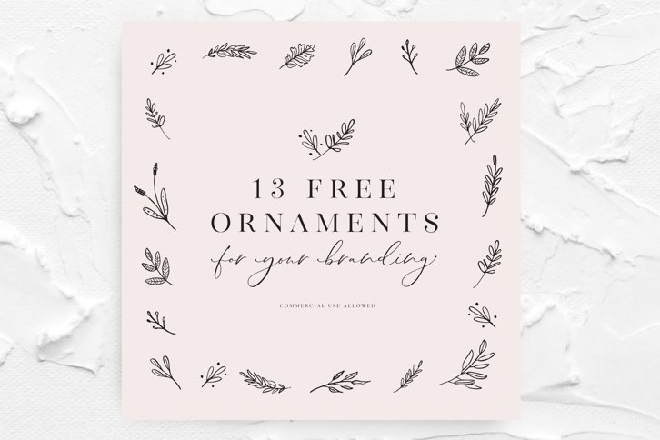 Free Floral Ornaments (Illustrations) by Nicky Laatz