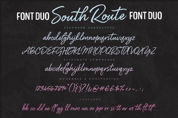 South Route Font Duo preview image 12 by Nicky Laatz