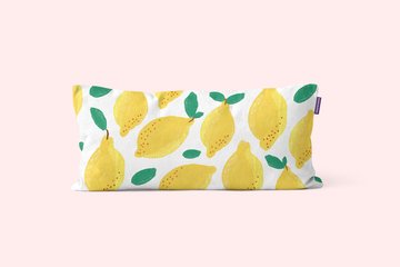 Sweet Lemon Illustrations & Pattern preview image 3 by Nicky Laatz