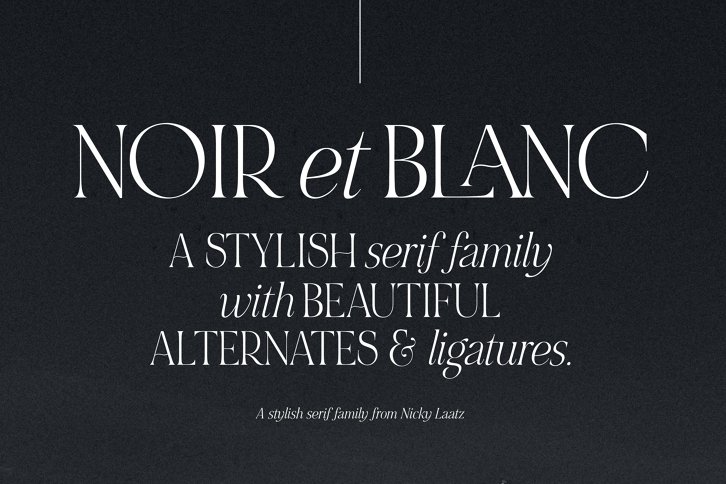 NOIR et BLANC Stylish Serif (Font) by Nicky Laatz