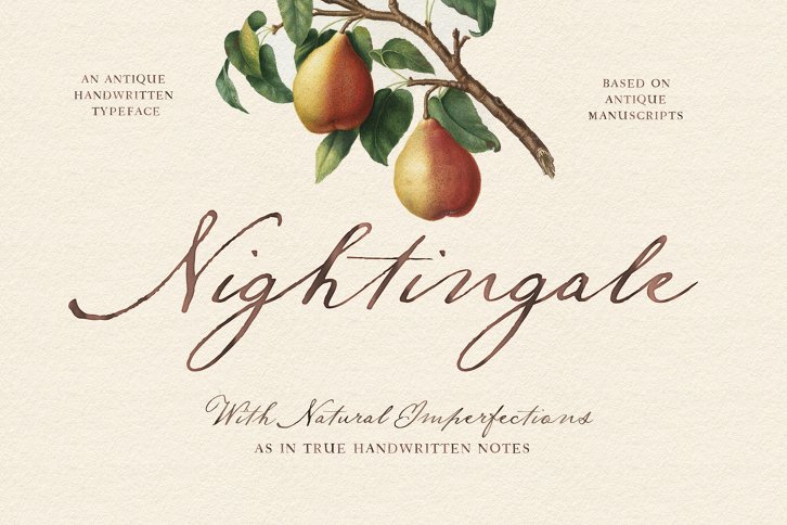 Nightingale Script (Font) by Nicky Laatz