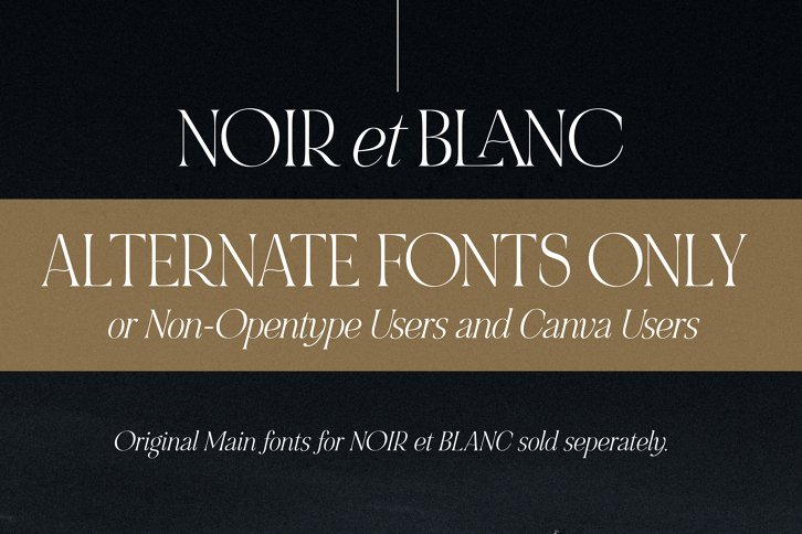 Noir et Blanc Open Type Extras Font (Font) by Nicky Laatz