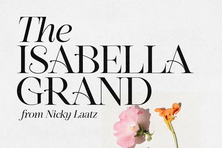 Isabella Grand Display Serif (Font) by Nicky Laatz