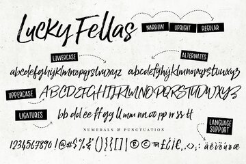 Lucky Fellas Brush Script + Extras preview image 14 by Nicky Laatz