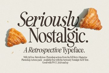 Seriously Nostalgic Serif main product image by Nicky Laatz