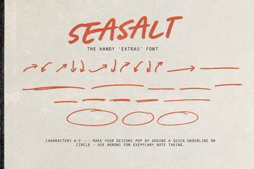 Seasalt - Casual Marker Typeface preview image 9 by Nicky Laatz