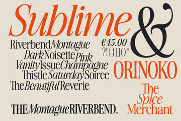 Awesome Serif Family preview image 32 by Nicky Laatz
