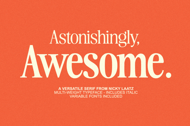 Awesome Serif Family (Font) by Nicky Laatz
