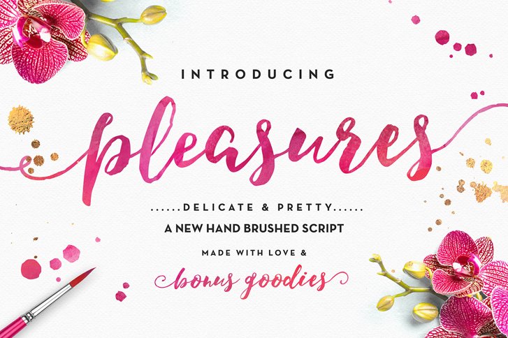 Pleasures Script (Font) by Nicky Laatz