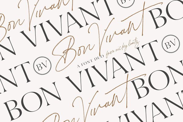 Bon Vivant Font Collection main product image by Nicky Laatz