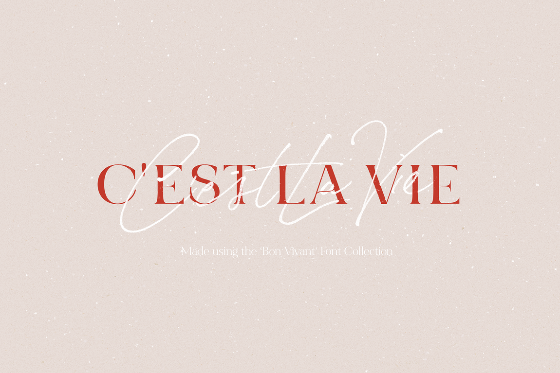 Bon Vivant Font Collection preview image 1 by Nicky Laatz
