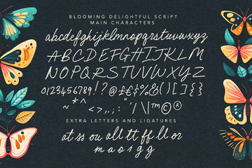 Blooming Delightful Font Duo preview image 18 by Nicky Laatz