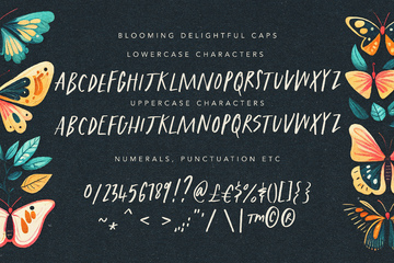 Blooming Delightful Font Duo preview image 19 by Nicky Laatz