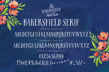 Bakersfield Font Trio preview image 16 by Nicky Laatz