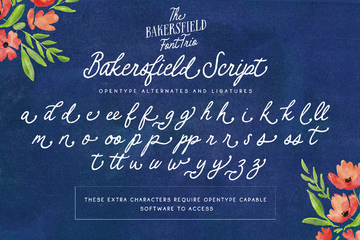 Bakersfield Font Trio preview image 15 by Nicky Laatz