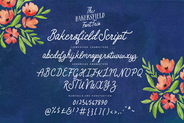 Bakersfield Font Trio preview image 14 by Nicky Laatz