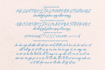 Pink Champagne Script Typeface preview image 20 by Nicky Laatz