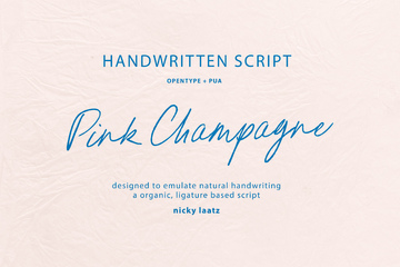 Pink Champagne Script Typeface main product image by Nicky Laatz