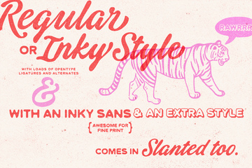 Tequila Sunrise Typeface Pack preview image 1 by Nicky Laatz