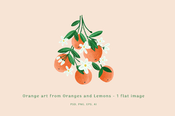 Orange Blossom Illustration main product image by Nicky Laatz