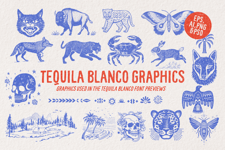 Tequila Blanco Graphics (Illustrations) by Nicky Laatz