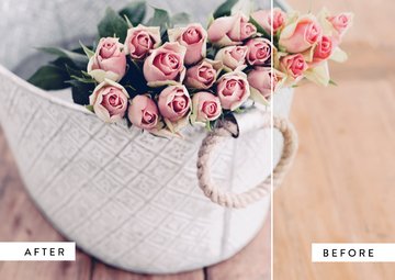 Moss & Leather Lightroom Mobile Preset preview image 10 by Nicky Laatz