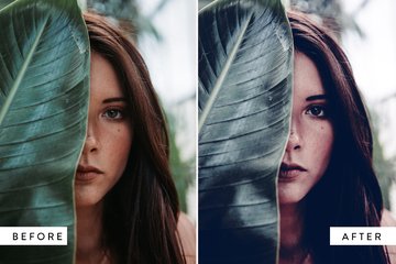 Moss & Leather Lightroom Mobile Preset preview image 3 by Nicky Laatz