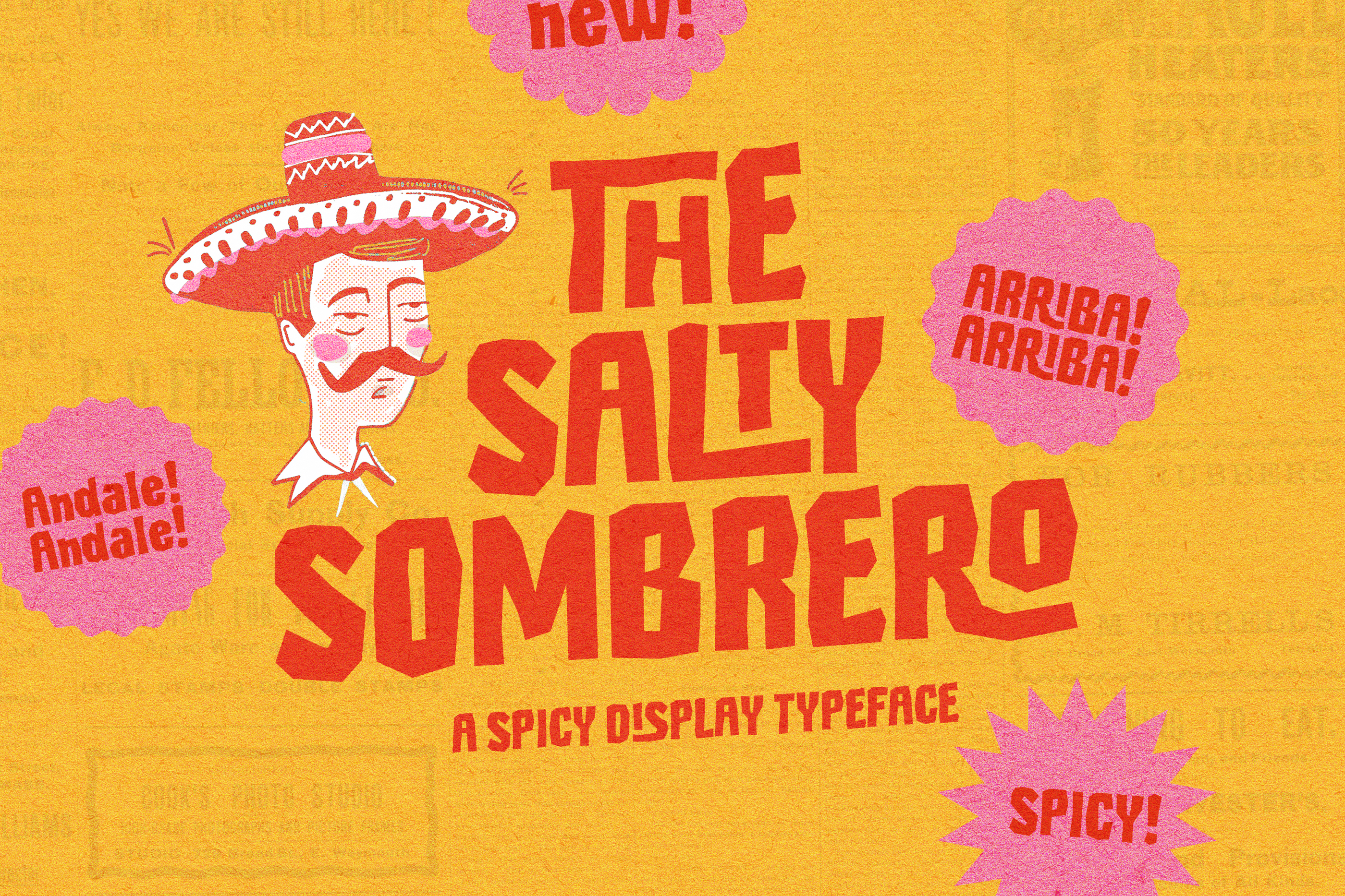 Salty Sombrero Typeface (Font) by Nicky Laatz