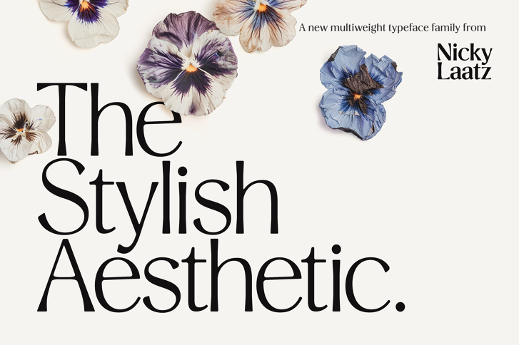 Stylish Aesthetic Sans Family (Font) by Nicky Laatz