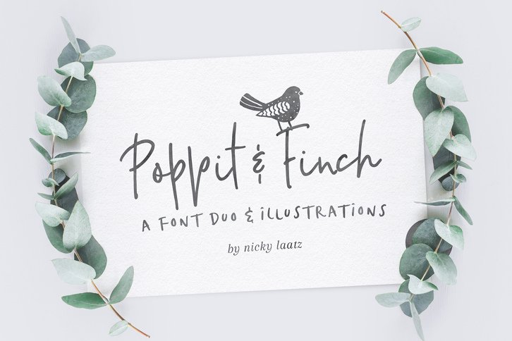 Poppit & Finch Fonts and Graphics (Font) by Nicky Laatz