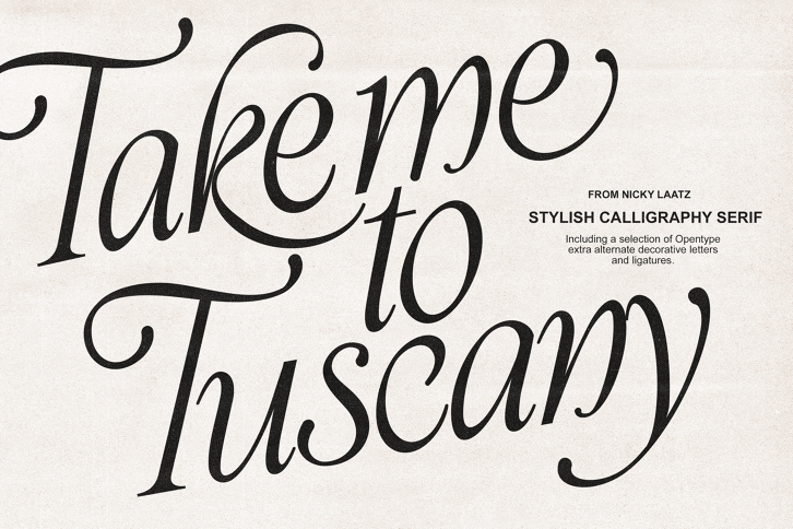 Take Me To Tuscany Typeface (Font) by Nicky Laatz