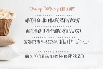 Chin Up Buttercup Font Duo preview image 12 by Nicky Laatz