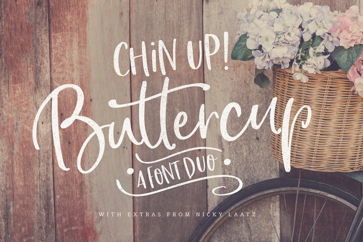 Chin Up Buttercup Font Duo (Font) by Nicky Laatz