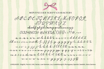 Montpellier Script preview image 20 by Nicky Laatz