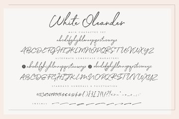 White Oleander Font preview image 8 by Nicky Laatz