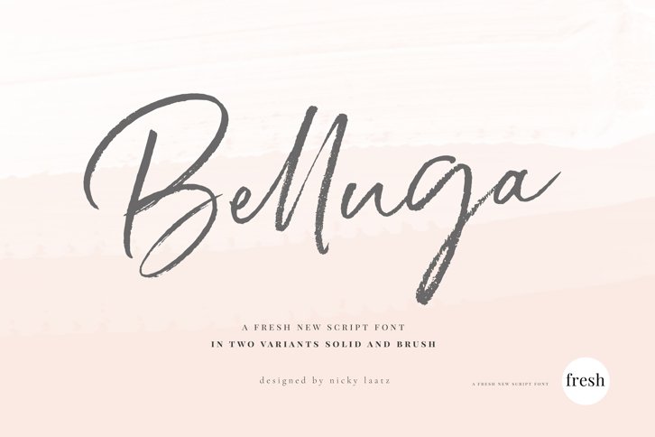 Belluga Script Font (Font) by Nicky Laatz