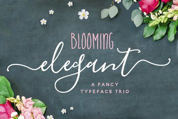 Blooming Elegant Font Trio main product image by Nicky Laatz