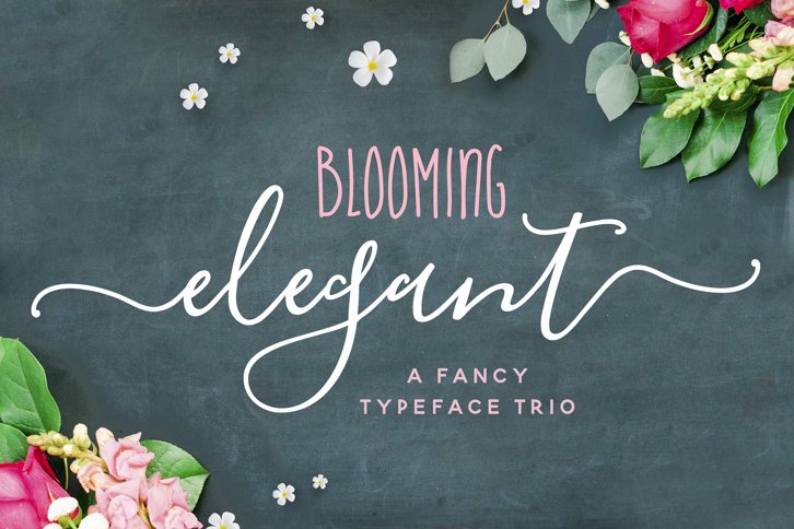 Blooming Elegant Font Trio (Font) by Nicky Laatz