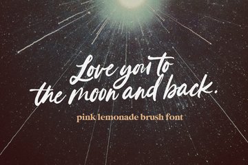 Pink Lemonade Brush Font preview image 3 by Nicky Laatz