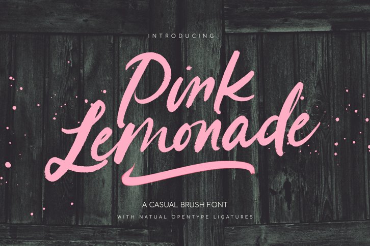 Pink Lemonade Brush Font (Font) by Nicky Laatz